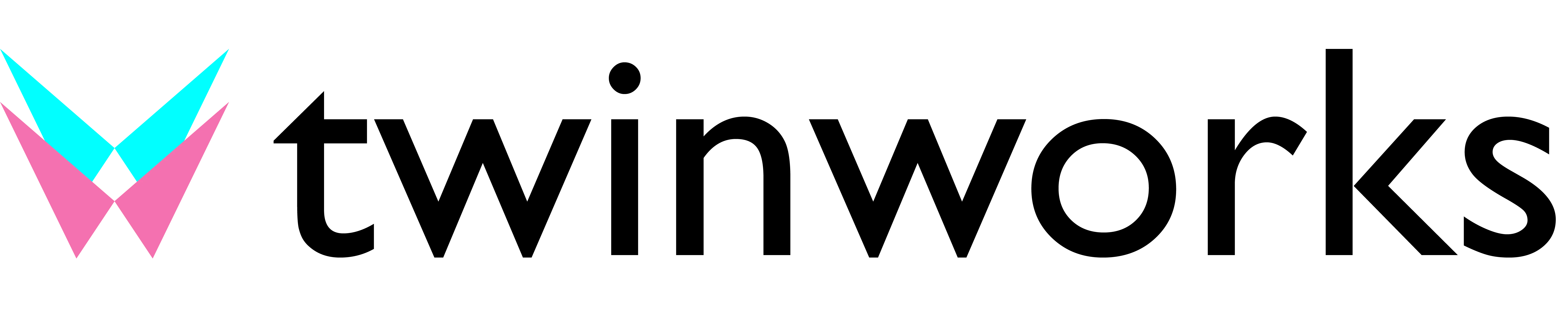 TwinWorks